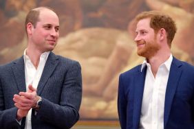 Prince William and prince harry