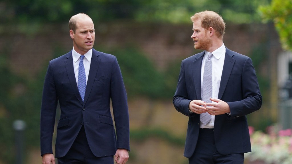 Prince William 'Furious' Over Brother Profiting off Royalty — Source