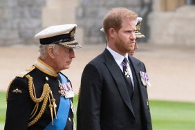 Prince Harry Mentions His Children in Plea to King Charles — Report