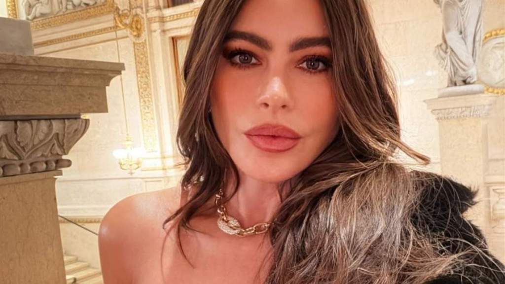 Sofia Vergara Wearing Bold Dress Has Fans Saying ‘Have Mercy'