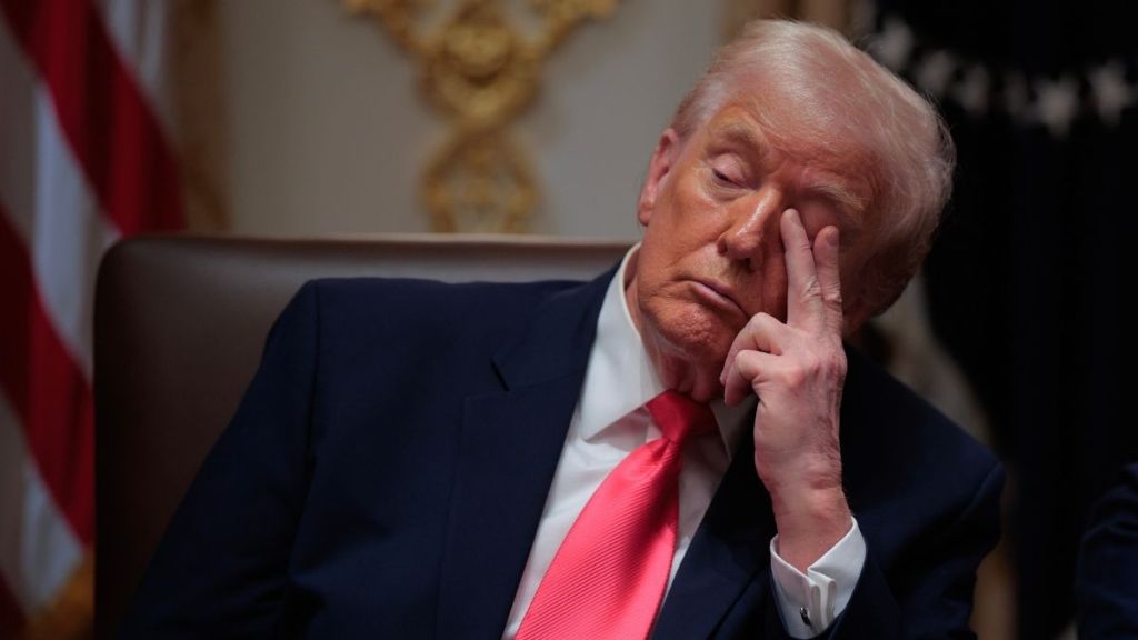 Donald Trump Appears to Doze Off During Cabinet Meeting