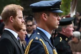 Prince Harry Addresses Claims of 'Stealing' Brother's Title — Report