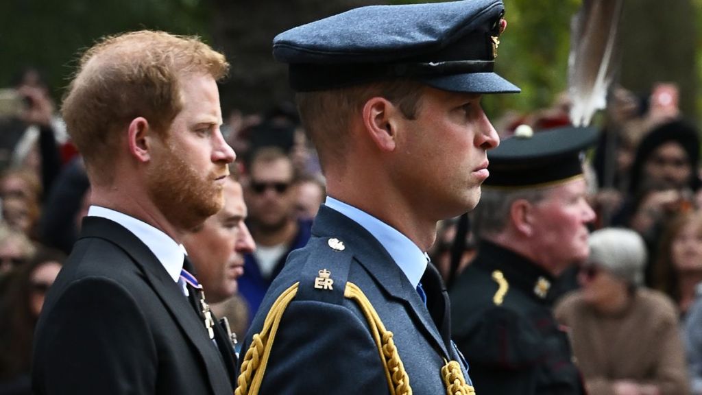 Prince Harry Addresses Claims of 'Stealing' Brother's Title — Report