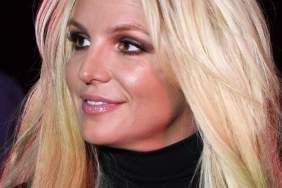 Britney Spears Turns Up the Heat While Posing in Cut-Out Mini-Dress