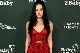 Demi Lovato in Sheer Corset Dress Is Not To Be Missed