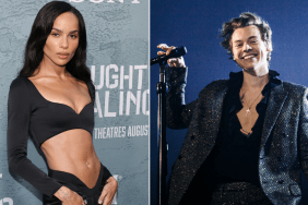 Rome Outing by Zoe Kravitz & Harry Styles Sparks Talk of Something More