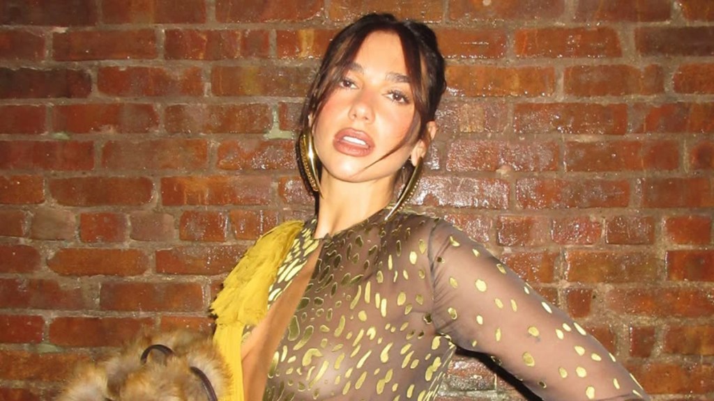 Dua Lipa's Top Is Not for the Faint-Hearted