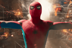 Spider-Man Rumored To Fight a Never Seen Before Hulk in 2026