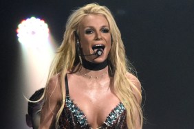 Britney Spears Suffers Wardrobe Malfunction in See-Through Dress