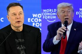 Elon Musk, Donald Trump