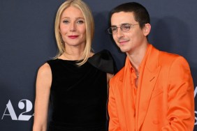 Gwyneth Paltrow Says Sex Scenes With Timothee Chalamet 'Wasn't That Weird'