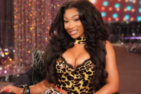 Megan Thee Stallion in Cutout Leotard Is Truly 'Perfect'