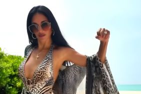 Nicole Scherzinger Turns Up the Heat in Backless Swimsuit