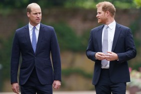 Prince Harry's Upcoming Plans Risk Straining Ties with Brother — Source