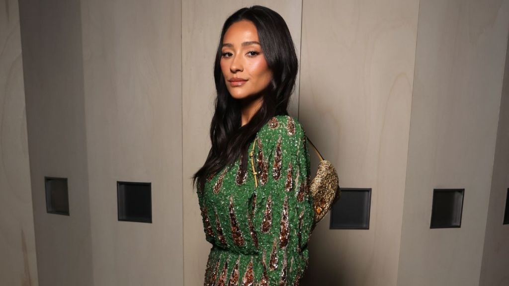 Shay Mitchell Wows in Sheer Valentino Miniskirt & Sequin Top