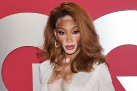 Winnie Harlow Rocks Sparkly Bikini Set & Completely Sheer Pants