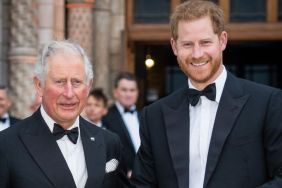 King Charles Prioritizing 'Two Very Small Figures' in Prince Harry Reunion — Source
