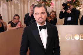 Leonardo DiCaprio Stopped by Security at Golden Globes for This — Report