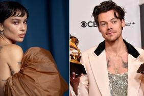 Harry Styles Has Changed Zoe Kravitz Mind About Their Romance — Source