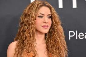 Shakira Stuns in Sheer Dress With a Sky-High Slit