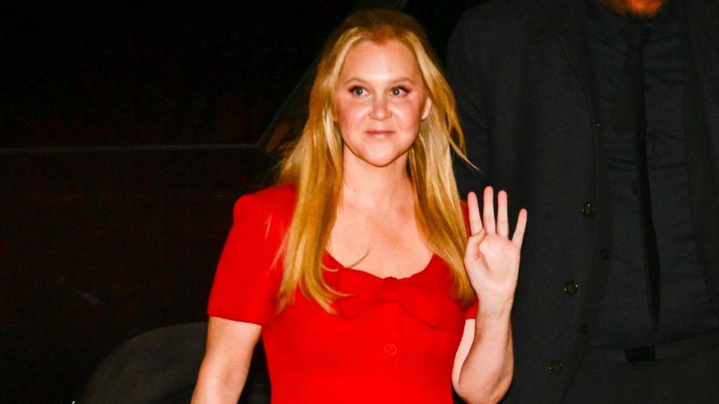 Amy Schumer in Red Bikini Has Fans Calling Her 'Hot'