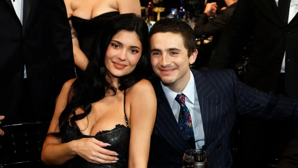 Timothee Chalamet's Getting Engaged Soon — Source