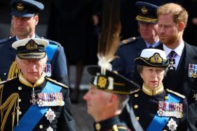 King Charles Likey To Reject Prince Harry’s Invite for Prince William — Expert