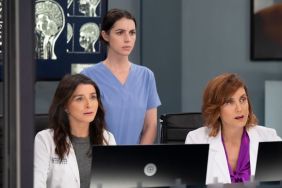 Grey's Anatomy Halting Production Amid Nationwide Protests — Report