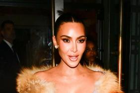 Kim Kardashian Gives Update on Puppies After PETA Backlash