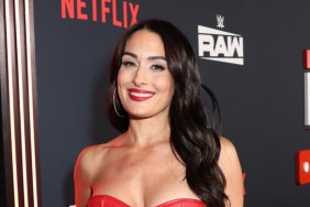 nikki bella top strings photo