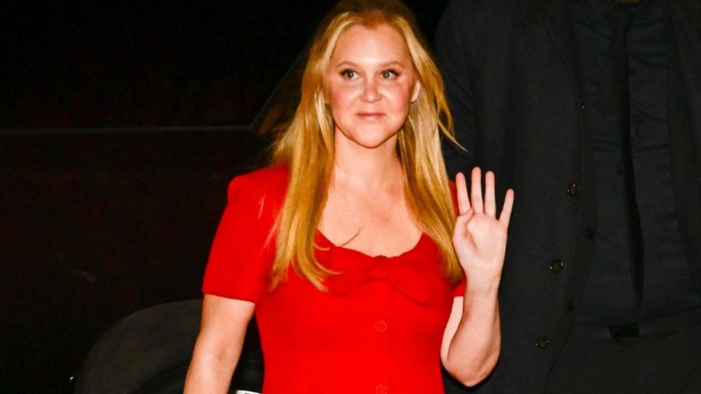 Amy Schumer Wants To Portray ‘Perfect’ Divorce — Source
