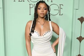 Chloe Bailey Wows in Fitted Ruched Bustier Dress at Gala