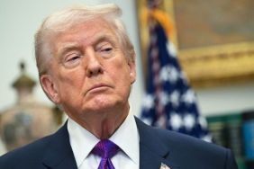 Angie Nixon's Comment on Donald Trump Removal Sparks Outrage