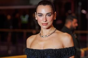 Dua Lipa Owns the Night in Sheer Lacy Look at Rosebush Pruning Premiere