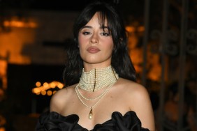 Camila Cabello's See-Through Minidress & Miu Miu Top Add to Bikini Look