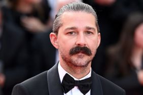 Shia LaBeouf Spotted Kissing Mystery Woman After Arrest — Report