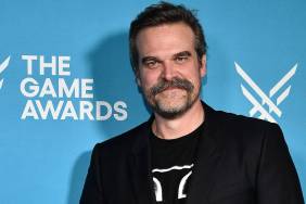 David Harbour Skips Stranger Things Co-Star’s Wedding for Mystery Outing