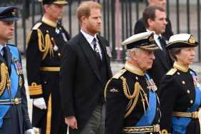 This Sparked a ‘Shift’ Between Prince Harry & Prince William — Author
