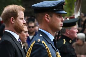 Prince Harry Contacting Prince William Claim Gets Shocking Update From Source