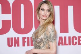 Angelina Jolie Dazzles in Sheer Silver Dress For Premiere