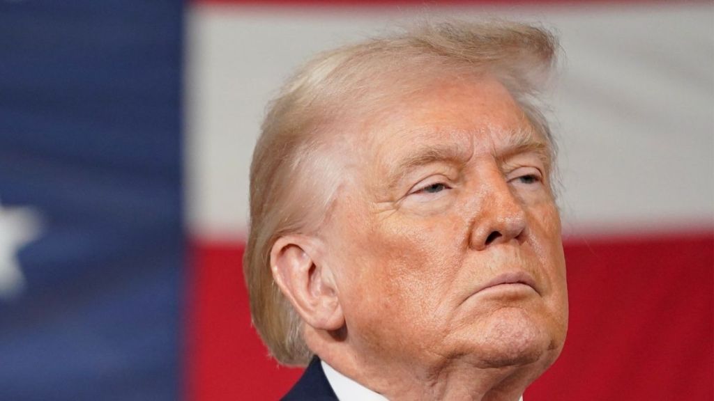 DOJ Removed Portions of Epstein Files Related to Donald Trump — Report