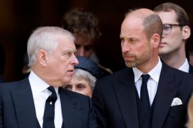 Prince William Wanted Ex-Prince Andrew’s Removed Before ‘Rot Set In’ — Author