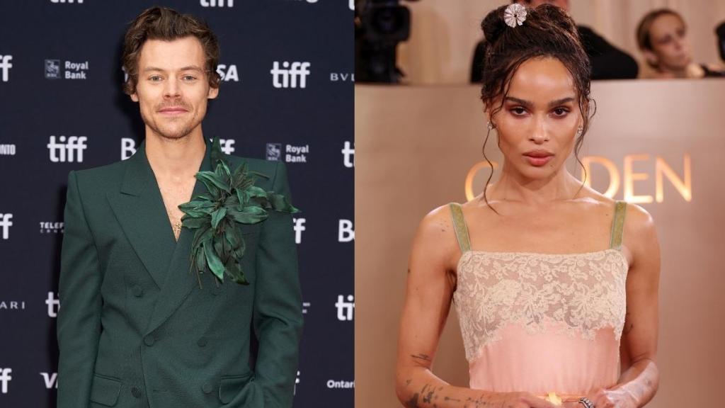 Zoe Kravitz May Join Boyfriend on Tour Amid 'Serious' Relationship — Source