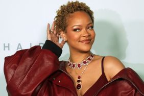 Update on Woman Accused of Shooting at Rihanna's House — Report