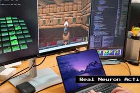 800K Brain Cells in Petri Dish Playing Doom Is Freaking Out the Internet