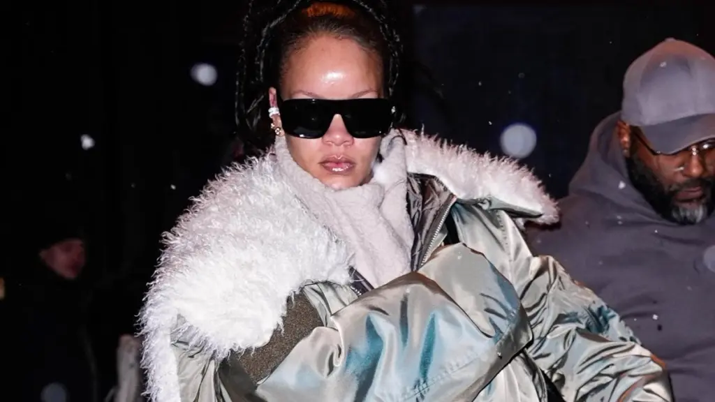 Rihanna’s Home Shooting Suspect Acted ‘Willfully & Deliberately’ — Report