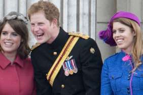 Prince Harry’s Powerless Even if He Wants To Help These 2 Royals — Expert