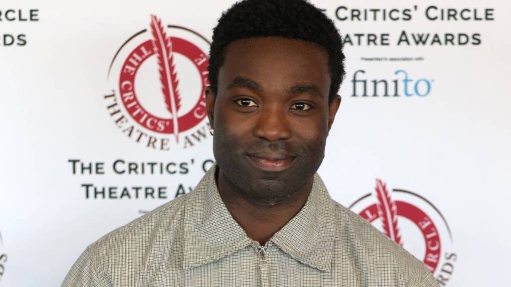 Paapa Essiedu Recalls Chaotic Quidditch Mishap on Harry Potter Set