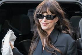 Dakota Johnson 'Playing the Field' With Dating Life Amid Rumors — Source