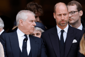 Prince William 'Despises' Potential Movie on Ex-Prince Andrew — Source